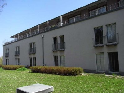 Frisch renoviertes 1 Zimmer Apartment zwischen Uni und Altstadt