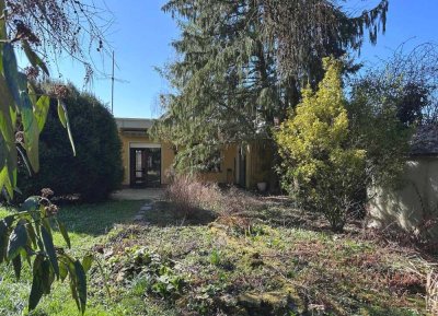 Natur pur - Bungalow in Toplage am Waldrand von Bad Vilbel!