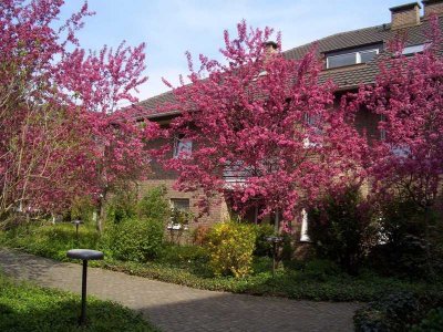 1,0-Zimmer-Wohnung in Bonn Nordstadt