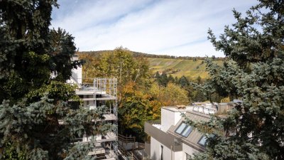 Schickes Apartment mit Traumblick in die Neustifter Weinberge