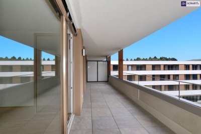 Herrliche Drei-Zimmer-Wohnung mit riesigen FREIFLÄCHEN! Schlossbergblick!