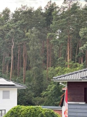 Wertvoll, perfekt + techn. herrvorragend, hübsche Villa aus 2013 + massivem Nebenhaus im Garten!
