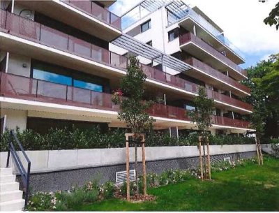 Luxuriöse 4-Zimmer Wohnung mit Garten und Garage in Dresden Seevorstadt-Ost. Nah am Großen Garten!