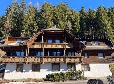 Sonnige und gemütliche Garconniere in Patergassen nahe Bad Kleinkirchheim