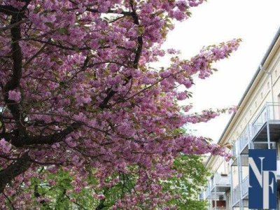 hochwertig Modernisiert mit Einbauküche, mit Top Ausstattung inklusive neuem Bad, im Herzen von C...