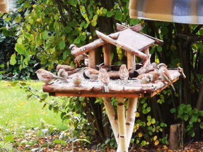 Bien-Zenker: Ihr individuelles Traumhaus