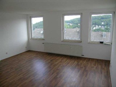 Velbert-Langenberg! 2 Zimmer-Wohnung komplett renoviert!
