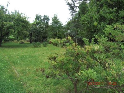 FREUEN SIE SICH AUF IHR FAMILIENGLÜCK IM EIGENEN HAUS IM GRÜNEN! TEL.: 1714863595