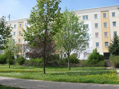 Top renovierte 3-Raum-Wohnung