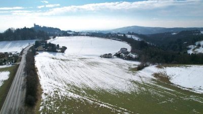 "Über den Dächern von Linz: Ihr privates Refugium in Bestlage. Wo Freiheit auf Pöstlingberg-Idylle trifft."