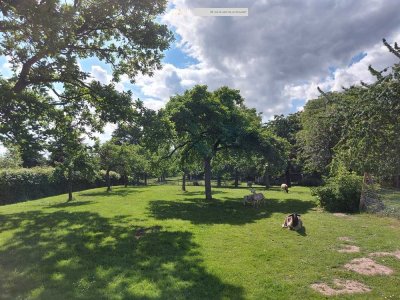 Bauernhof auf  16.802 m² Grundstück, ein Traum für jeden Pferdeliebhaber   mit 2 getrennte Häuser