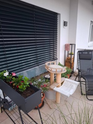 3-Zimmer-Neubau in Steyr mit Balkon und Carport