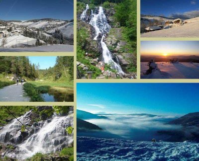 Ruhige, sonnige und möblierte 2. Zimmer Wohnung