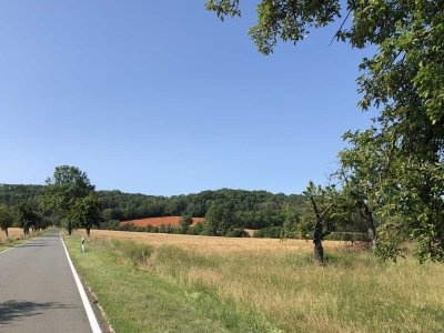 Frisch renovierte  3-Zimmer-Wohnung mit Wintergarten