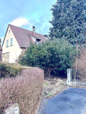 Großes Grundstück mit Haus (Sanierung oder Abriß)  zum Verkauf
