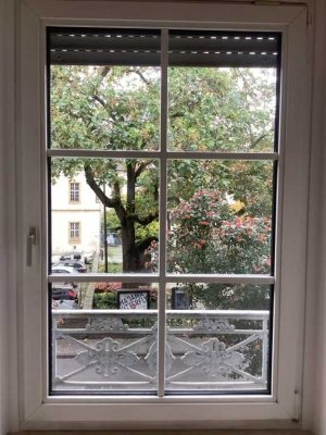 Gemütliche Wohnung in der Mehlgasse mit Balkon!