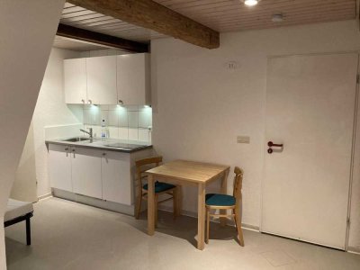 1-Zimmer-Wohnung mit Küchenzeile und Duschbad