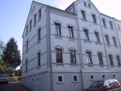 Zwickau erleben: Saniertes 2-Zimmer-Apartment in Oberplanitz