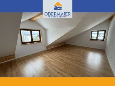 NEUBAU DACHGESCHOSSWOHNUNG mit 2 ZIMMERN - komplettes Dachgeschoss in HOFHEIM