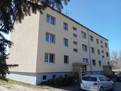 Single-Wohnung - 1 Raum, aber viel Platz