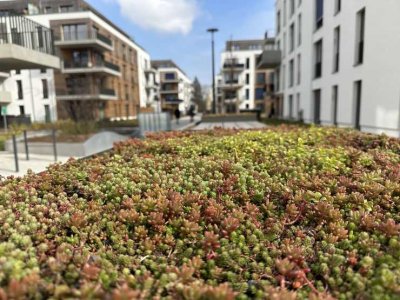 Frisch gebaut, fein gelegen – Neubauwohnung direkt am Wasser