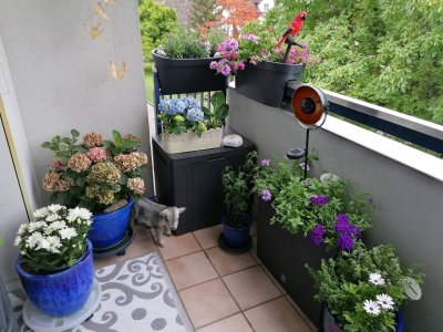 Charmant gepflegte 5-Zimmer Wohnung mit Balkon und Aufzug