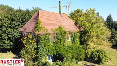 HISTORISCHE VILLA IN VÖCKLABRUCK
