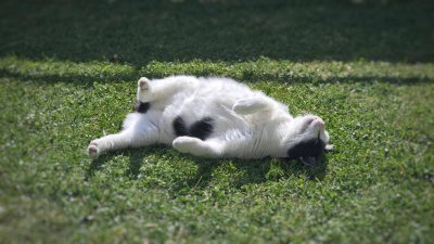 Apartment mit Garten und Einbauküche