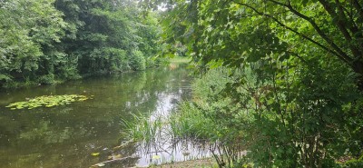 Wohnen direkt am Türkenschanzpark