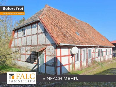 Bauernhaus mit Potenzial im Dornröschenschlaf