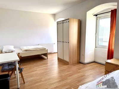 1 Zimmer Apartment mit 1 Bett in Fischamend 280,-- Euro monatliche Pauschale (WC und Dusche am Gang) sofort verfügbar