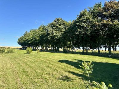 Ihr Zuhause inmitten der Feldberger Seenlandschaft – Natur. Ruhe. Weitblick.