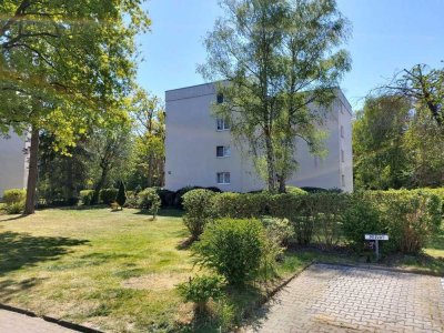 Moderne 3 ZWHG am Waldpark in Hausen EBK