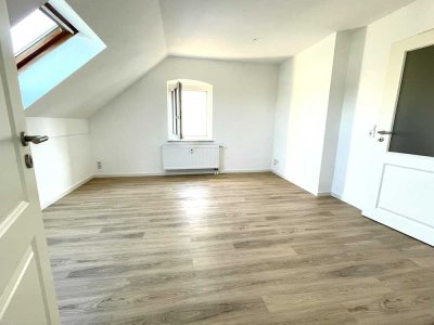 + + + 2-Zimmer-Wohnung, hell, ruhig, neu renoviert - zentral in Planitz + + +