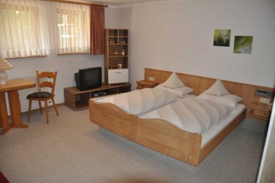 Möbiliertes 1 Zimmer Appartement zusätzlich mit Küche und Bad.