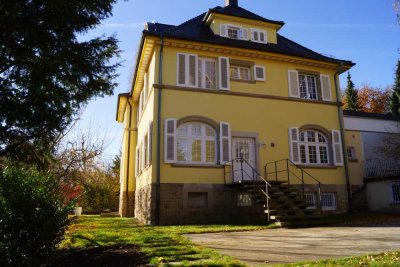 Luxuriöses Wohnen auf ca. 326qm Wfl.,9-Zi - Luxushaus in Jugendstil-Villa - Pfhm.-Rod. Friedenstr.84