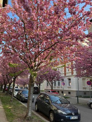 Gepflegte 2- Zimmerwohnung im östlichen Ringgebiet