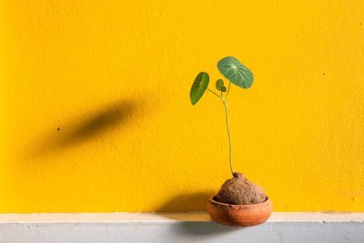 Cleveres Investment oder dein neues Zuhause?