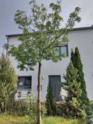 Doppelhaushälfte in Ingolstadt Süd