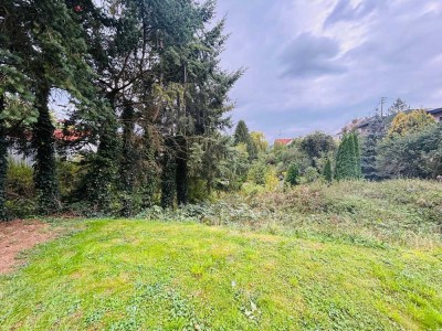 !!! Baugrundstück in Wallrabenstein - Ihrem Traumhaus steht nichts im Wege!