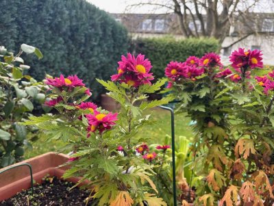 Charmante Eigentumswohnung zum Wohlfühlen