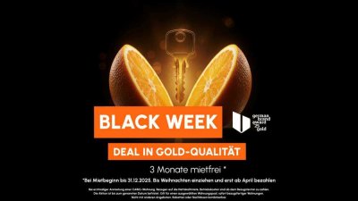 Erstbezug nach Sanierung - EBK, Balkon und Hausgarten