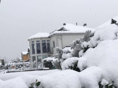 Privatverkauf: Exklusive, familienfreundliche Villa, mit Pool, Dachterrasse mit Fernblick und pflegeleichtem Garten!