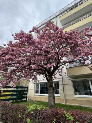 Stilvolle 2-Zimmer-EG-Wohnung als Kita oder kulturelle Zweck in Düsseldorf