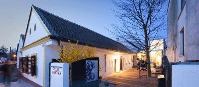 EINZIGARTIGE Galerieresidenz im revitalisierten Bauernhaus mit spektakulärem Zubau, uneinsehbarem Innenhof, Gartenparadies, Pool und Sauna in Stoob!