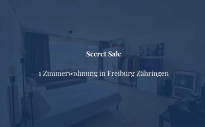 Große 1 Zimmerwohnung mit traumhaftem Ausblick