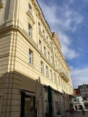 GROSSE ALTBAUWOHNUNG MIT FLÜGELTÜREN