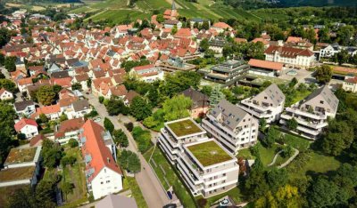 Erstbezug: Moderne 4-Zimmer-Wohnung in Weinsberg, Garten in Südseite, mit Stellplätzen, ab sofort