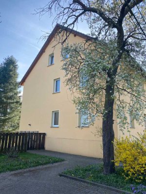 lichtvolle, frisch renovierte 1-Zimmer-Wohnung in Rietschen
