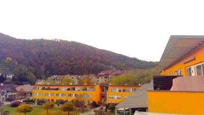 Grün-Ruhelage mit Einbauküche und Terasse in Krems - Mühlhofsiedlung